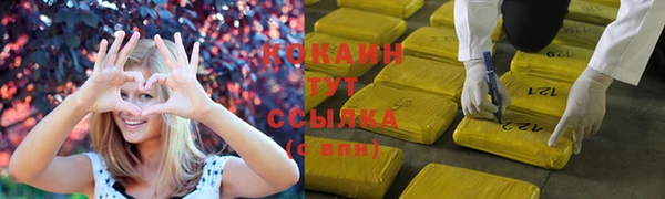 ПСИЛОЦИБИНОВЫЕ ГРИБЫ Белокуриха