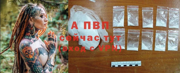 амф Беломорск