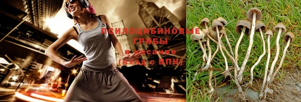 амф Беломорск