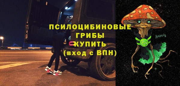 ПСИЛОЦИБИНОВЫЕ ГРИБЫ Белокуриха