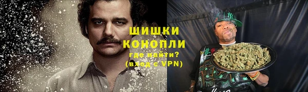ПСИЛОЦИБИНОВЫЕ ГРИБЫ Белокуриха